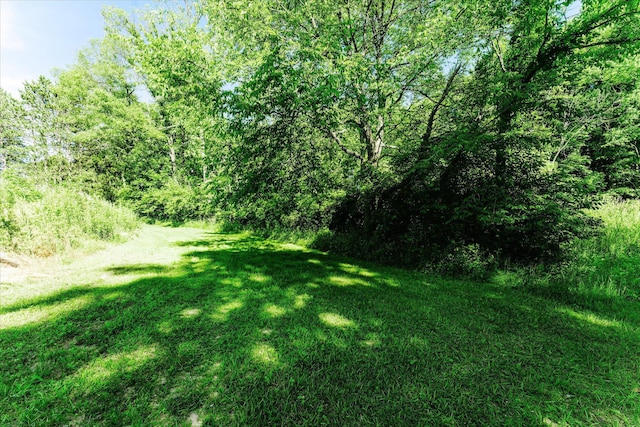 2098 Fisher Ct, Howell, MI 48855 - view of grassy yard with a view of trees