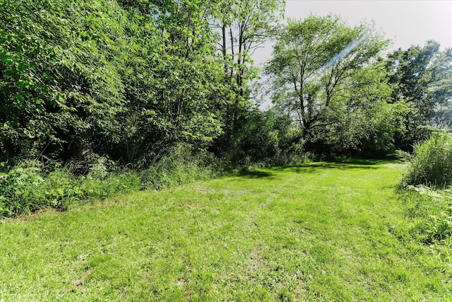 2098 Fisher Ct, Howell, MI 48855 - view of green lawn