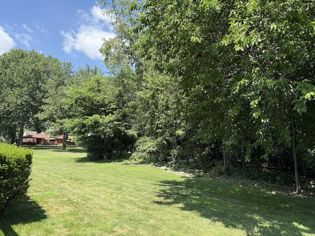 27588 Grandon Ave, Livonia, MI 48150 - photo 28
