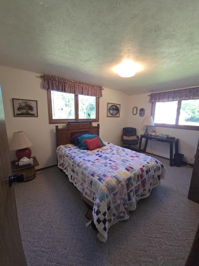66110 Sherman Mill Rd, Sturgis, MI 49091 - photo 36