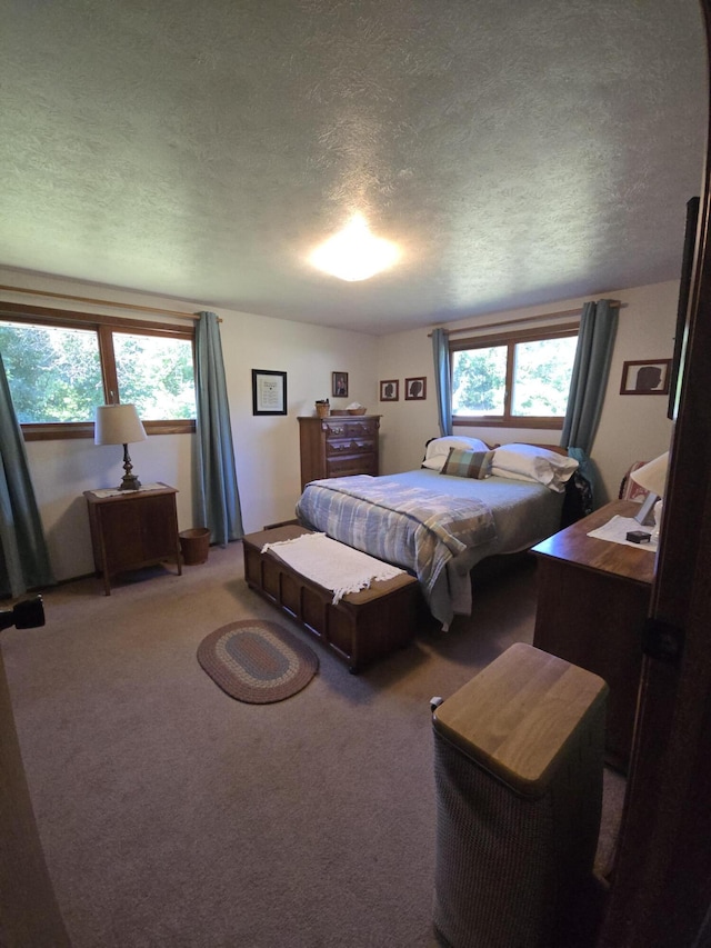 66110 Sherman Mill Rd, Sturgis, MI 49091 - photo 37