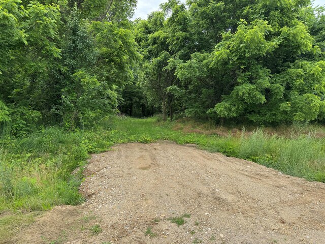 1519 Riverside Rd, Niles, MI 49120 - view of street with a forest view