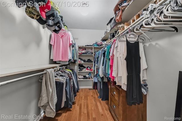 21653 Heatheridge Ln, Northville, MI 48167 - spacious closet featuring light wood-style flooring