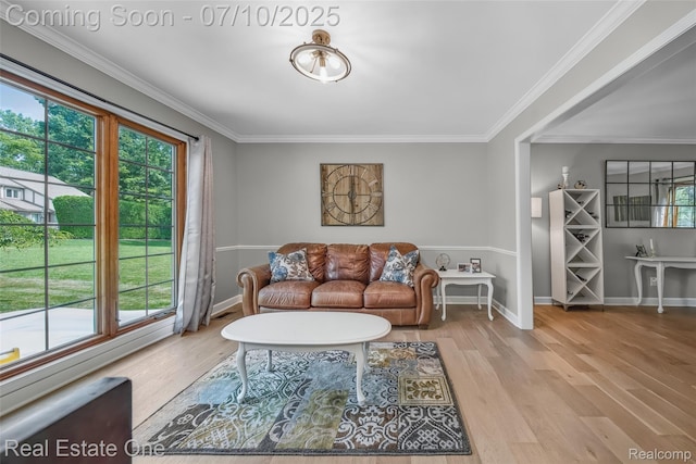 21653 Heatheridge Ln, Northville, MI 48167 - living room featuring healthy amount of natural light, wood finished floors, and ornamental molding