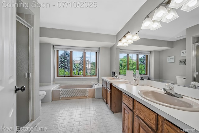 21653 Heatheridge Ln, Northville, MI 48167 - full bath with double vanity, a garden tub, and a shower stall