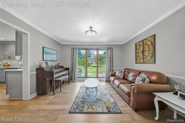 21653 Heatheridge Ln, Northville, MI 48167 - living area featuring light wood-style floors and crown molding