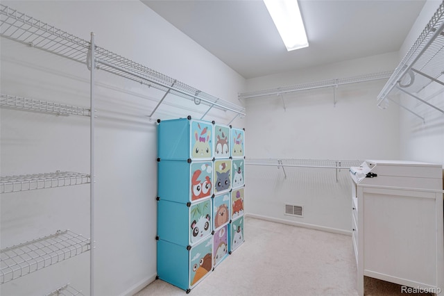 50042 Black Horse Ln, Canton, MI 48188 - spacious closet with carpet
