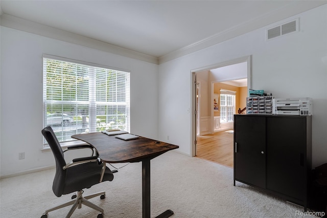 50042 Black Horse Ln, Canton, MI 48188 - office with plenty of natural light, light colored carpet, and ornamental molding