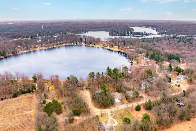 08311 W Shore Dr, Grand Junction, MI 49056 - aerial overview of property's location with a large body of water