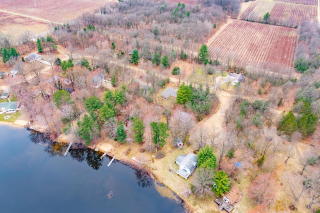 08311 W Shore Dr, Grand Junction, MI 49056 - aerial view of property's location with rural landscape, farmland, and a large body of water