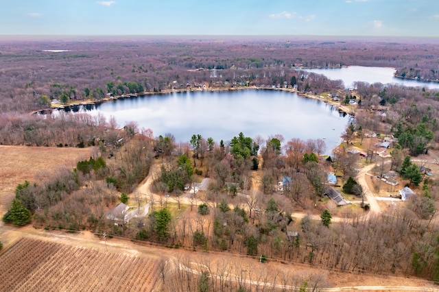 08311 W Shore Dr, Grand Junction, MI 49056 - aerial view of property's location featuring a large body of water