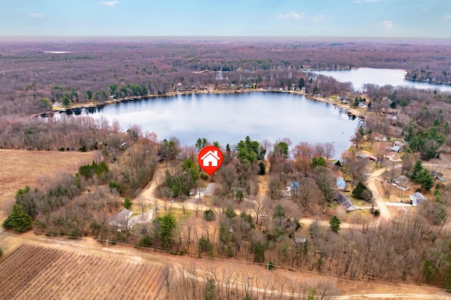 08311 W Shore Dr, Grand Junction, MI 49056 - aerial view of property's location with a nearby body of water