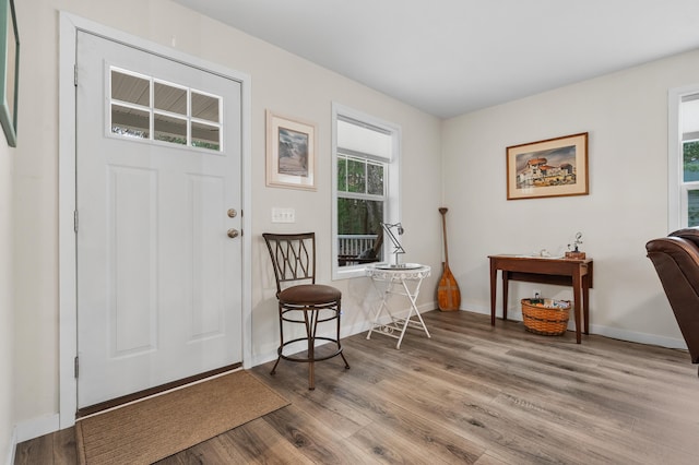 08311 W Shore Dr, Grand Junction, MI 49056 - foyer entrance featuring wood finished floors and baseboards
