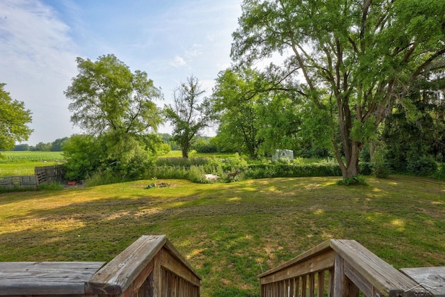 12821 Cimarron Dr, Birch Run, MI 48415 - view of grassy yard