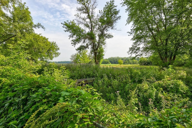 12821 Cimarron Dr, Birch Run, MI 48415 - view of local wilderness