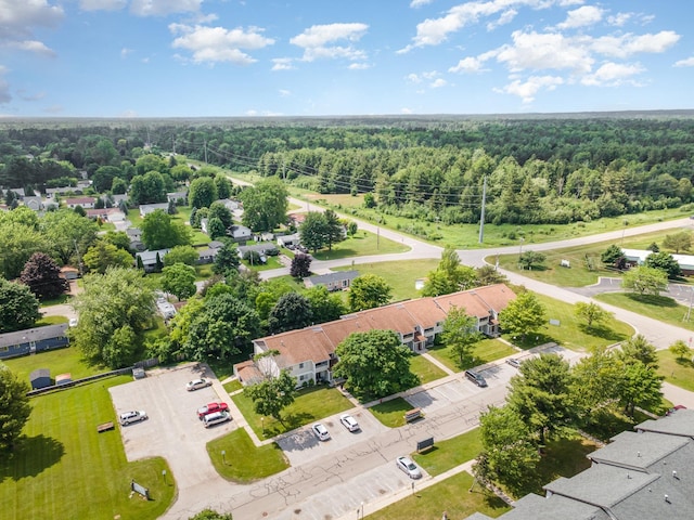 100 4th Ave, Tawas City, MI 48763 - bird's eye view of a heavily wooded area