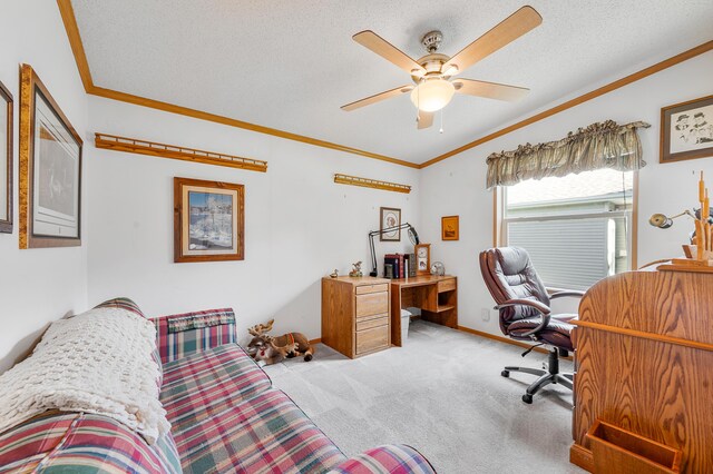 7900 Sunset Shores Dr, Canadian Lakes, MI 49346 - home office featuring crown molding, carpet flooring, ceiling fan, and a textured ceiling