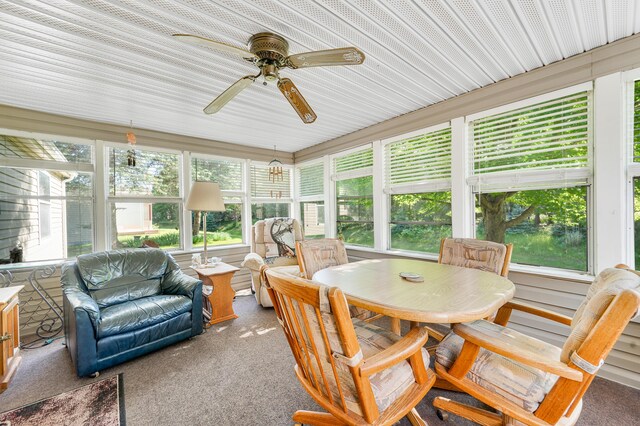 7900 Sunset Shores Dr, Canadian Lakes, MI 49346 - sunroom with carpet flooring