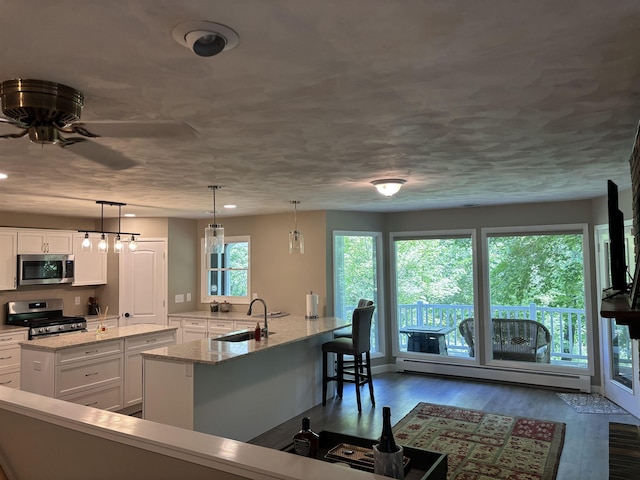 4442 Congdon Dr, Williamston, MI 48895 - kitchen with appliances with stainless steel finishes, a baseboard radiator, white cabinets, dark wood-style flooring, and recessed lighting