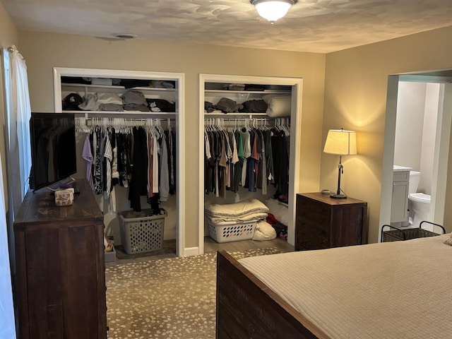 4442 Congdon Dr, Williamston, MI 48895 - bedroom featuring two closets and carpet floors