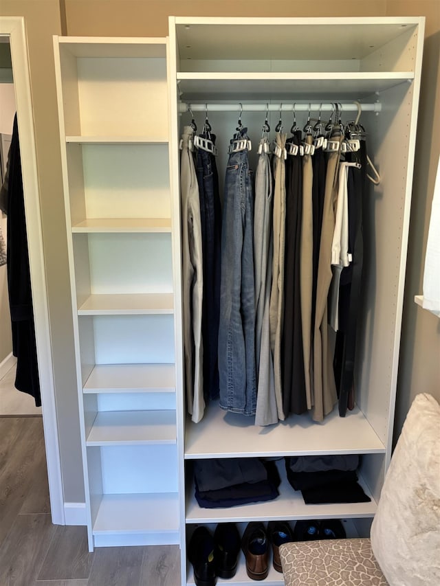 4442 Congdon Dr, Williamston, MI 48895 - view of closet
