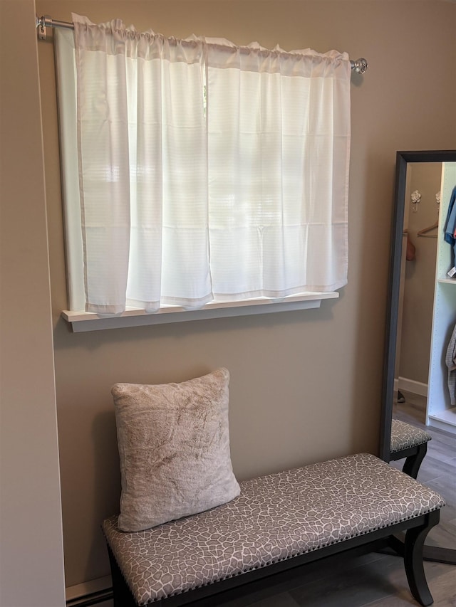 4442 Congdon Dr, Williamston, MI 48895 - living area with plenty of natural light and wood finished floors