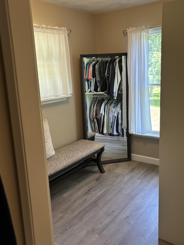 4442 Congdon Dr, Williamston, MI 48895 - living area with wood finished floors and plenty of natural light