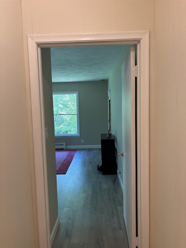 4442 Congdon Dr, Williamston, MI 48895 - corridor with a baseboard heating unit and wood finished floors