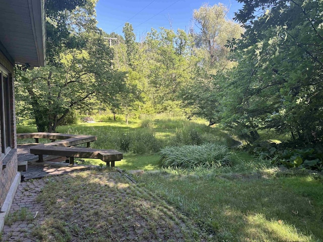 4442 Congdon Dr, Williamston, MI 48895 - view of yard featuring a wooded view