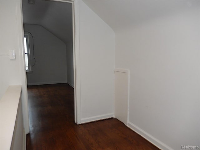 3161 Fort Park Blvd, Lincoln Park, MI 48146 - bonus room with dark wood-type flooring and lofted ceiling