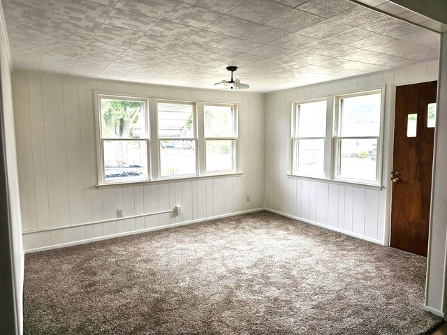 109 W Woodrow St, Fremont, MI 49412 - carpeted spare room with wooden walls