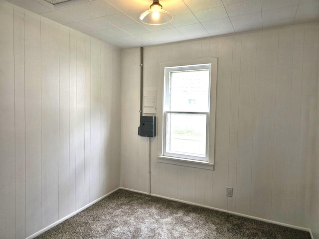 109 W Woodrow St, Fremont, MI 49412 - empty room featuring carpet floors and wooden walls