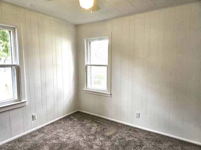 109 W Woodrow St, Fremont, MI 49412 - carpeted spare room featuring wooden walls