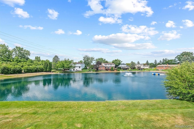 4041 Twin Lakes Ct, Shelby Twp, MI 48316 - photo 43