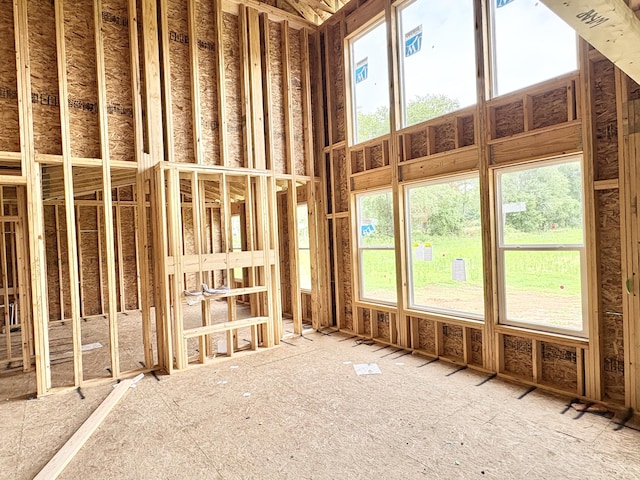 9520 Alaska Ave SE, Alto, MI 49302 - view of miscellaneous room
