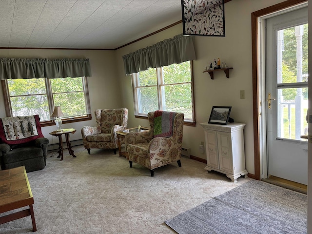 519 Adams St, East Tawas, MI 48730 - photo 15