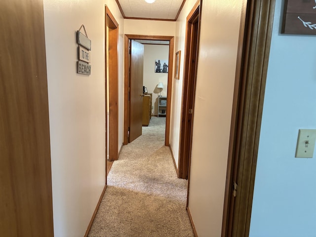 519 Adams St, East Tawas, MI 48730 - photo 22