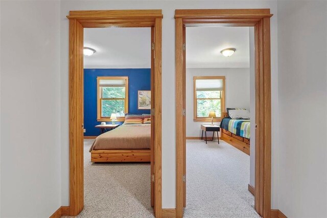 6110 Bc/Ej Rd, East Jordan, MI 49727 - photo 24