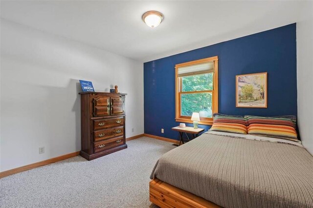6110 Bc/Ej Rd, East Jordan, MI 49727 - photo 25