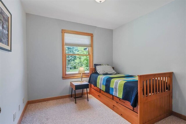 6110 Bc/Ej Rd, East Jordan, MI 49727 - photo 27