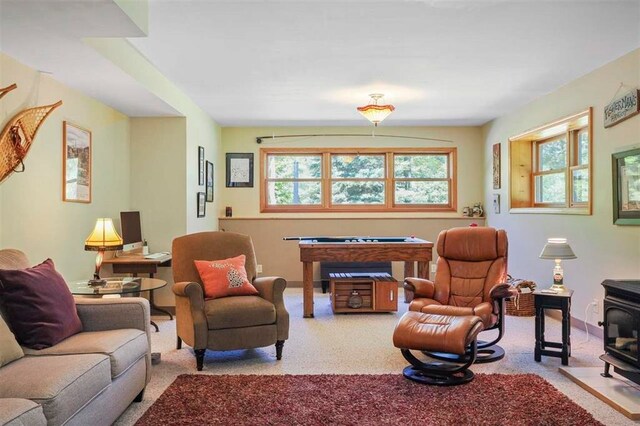 6110 Bc/Ej Rd, East Jordan, MI 49727 - photo 31