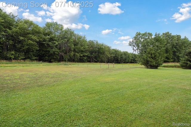 11247 Roberts Rd, Stockbridge, MI 49285 - photo 43