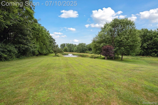 11247 Roberts Rd, Stockbridge, MI 49285 - photo 42