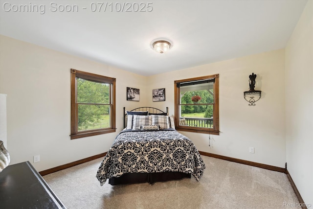 11247 Roberts Rd, Stockbridge, MI 49285 - photo 30