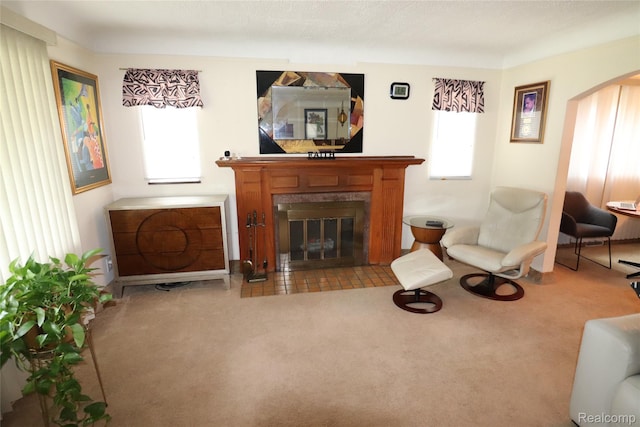 3685 W Outer Dr, Detroit, MI 48221 - carpeted living room with plenty of natural light, a fireplace with flush hearth, and arched walkways