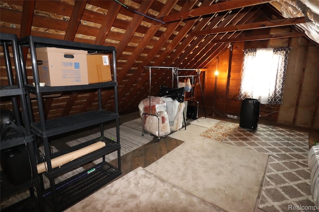 3685 W Outer Dr, Detroit, MI 48221 - view of attic