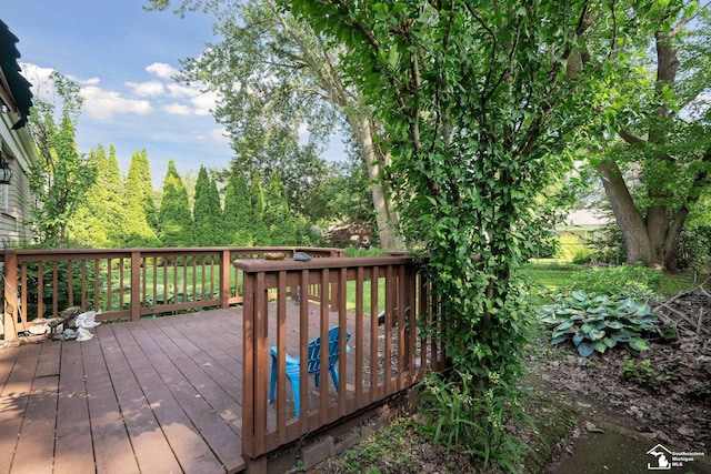 39759 Wales St, Canton, MI 48188 - photo 33