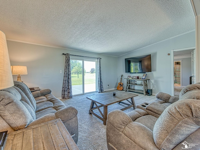 8955 Grafton Rd, Newport, MI 48166 - carpeted living area featuring a textured ceiling and ornamental molding
