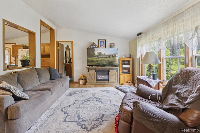4591 Swaffer Rd, Millington, MI 48746 - living room featuring lofted ceiling, wood finished floors, a textured ceiling, and a glass covered fireplace