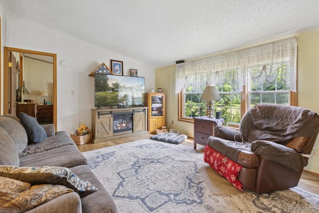 4591 Swaffer Rd, Millington, MI 48746 - living room featuring a textured ceiling, wood finished floors, healthy amount of natural light, a glass covered fireplace, and vaulted ceiling